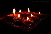 IIP Online Student Photography